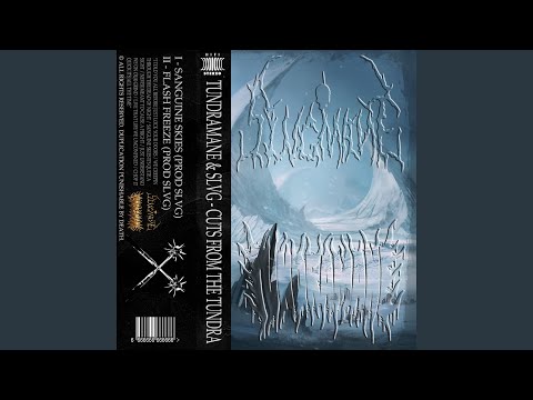 SANGUINE SKIES (feat. TUNDRAMANE)