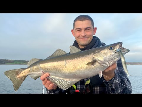 Sea Fishing UK - Fantastic Lure Fishing and exploring Deep Sea Wrecks | The Fish Locker