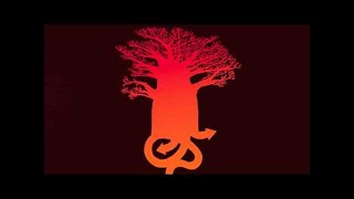 Tribeqa - Bridge The Gap