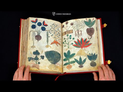 THE LATIN DIOSCORIDES - Browsing Facsimile Editions (4K / UHD)