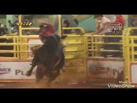 Especial de Montarias. Sidnei Suzilio Maria.