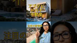 【新物件のご紹介】アブダビとドバイの境界線に位置する新プロジェクト「Bayn」です♪ #realestate #realestateinvesting #ドバイ #ドバイ不動産