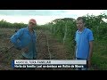 Horta da família Leal se destaca em Rolim de Moura Parte 01