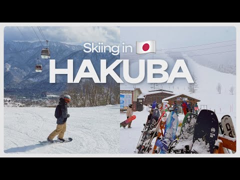 Watch this before going to Hakuba Japan 🏂