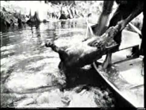 The Turtle Hunter - a film by James Hubbard