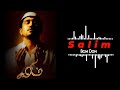 Salim Bgm Ringtone | Vijay Antony | Bgm Don