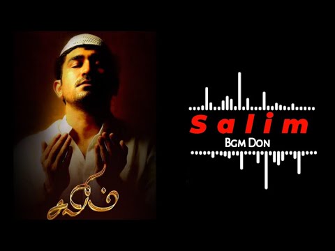 Salim Bgm Ringtone | Vijay Antony | Bgm Don