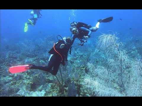 Adventures With Deb & Clarke at Bloody Bay Wall, Little Cayman