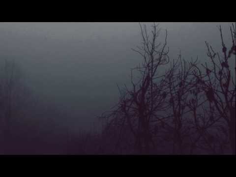 Nine Inch Nails - 9 Ghosts I
