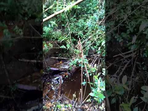 Puerto cisnes patagonia chilena #soydecarahue #patagoniachilena #carreteraaustral #aysén #coyhaique