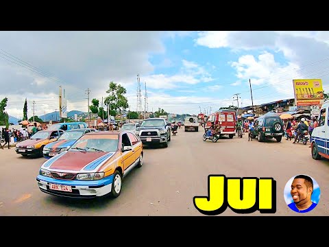 Welcome To CASHEW FARM|COBA FARM - JUI 🇸🇱 🌍 Roadtrip 2022 - Explore With Triple-A