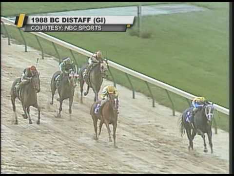 Personal Ensign - A look back at her 13th and final victory in the 1988 Breeders' Cup Distaff