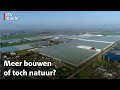Dilemma: wat moet er gebeuren met de Harmelerwaard?  | RTV Utrecht