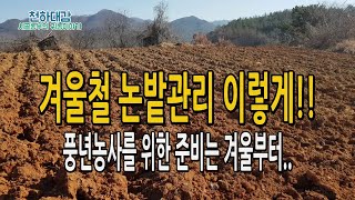 겨울철 논밭 준비는 이렇게 하세요~  퇴비살포시기 및 효과 고추 들깨농사