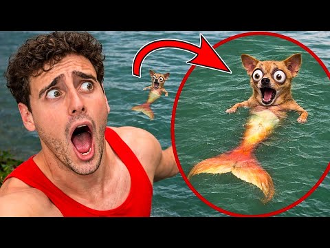 OUR DOG TURNED INTO A MERMAID?! 😱 *CAUGHT ON CAMERA*