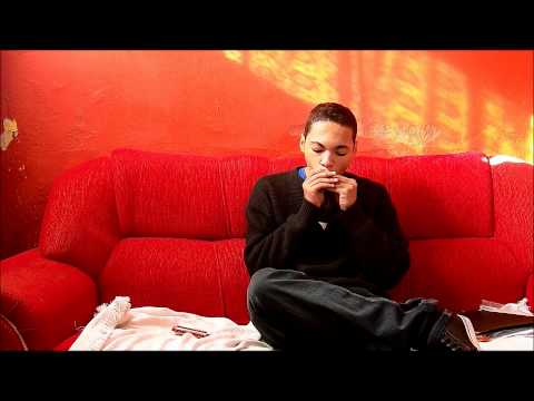 Armandinho - Casa do Sol - Gaita Harmonica Cover