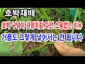 호박재배 호박 구덩이 관행처럼 파고 거름 주면 소용없는 이유 호박 심기 호박구덩이 파기 호박 거름 넣기 호박 가꾸기 토종호박 호박줄 유인 호박 밑거름 호박 웃비료