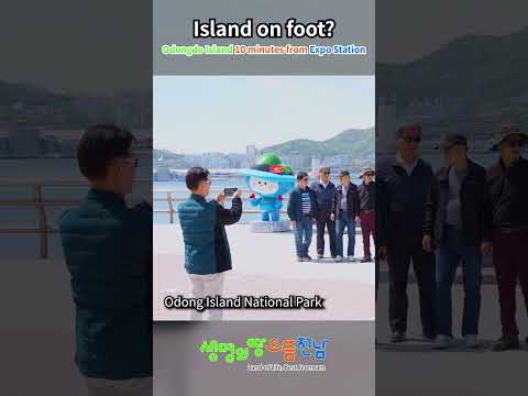 Odongdo Island, a must-visit seaside walking spot on a trip to Yeosu