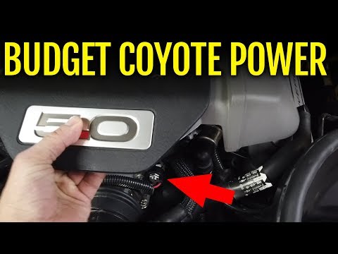 Budget Coyote Power! Nitrous on a 2016 Mustang GT