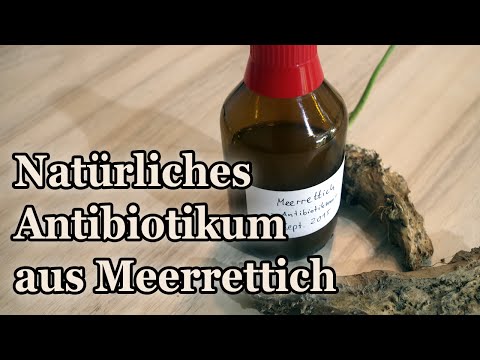 Masa Prostata Prostatitis und seine Behandlung Gegenanzeigen
