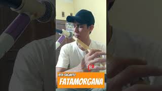 Download lagu Fatamorgana Rita Sugiarto #shortvideo #sulingbambu #fatamorgana mp3
