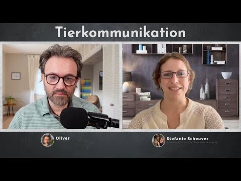 In conversation with animal communicator Stefanie Scheuver