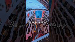 MSC World Europa Day vs Night