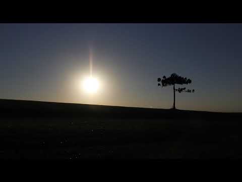 AO VIVO do Parque Coronel Lustosa -  Pinhão - PR