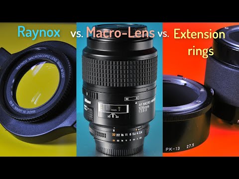 Raynox vs. Macro lens vs. Extension rings