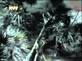 SEETA RAMA KALYANAM PART 16 YouTube