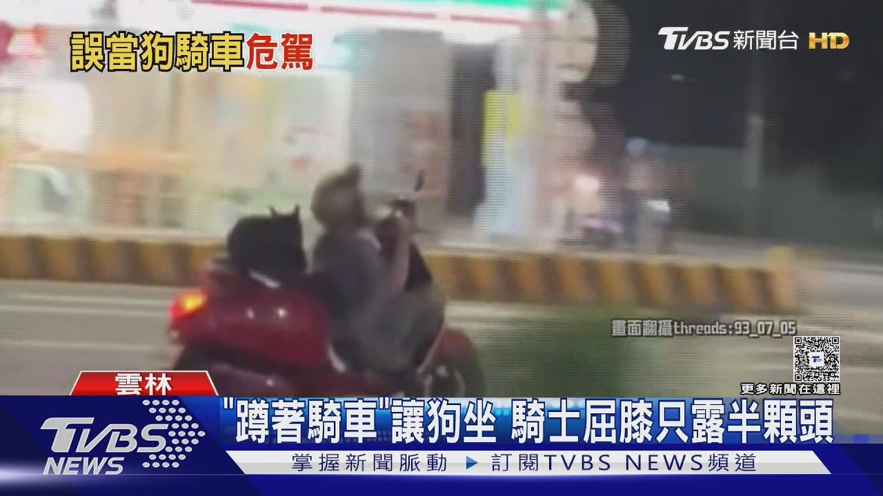 斗六機車騎士「蹲著騎車」讓狗坐! 誇張特技恐噴36600元