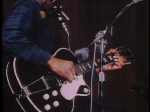 Running Wild performed by Jesse Fuller