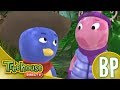 El Viaje De Backyardigans Del Norte Helado A La Selva Desenho Animado