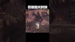 Re: [閒聊] 魔物獵人，你們對長槍是什麼印象?