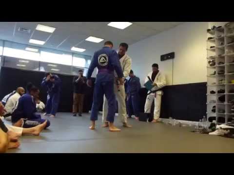 RGA Summer Grading 2015 - Purple Belt Promotions