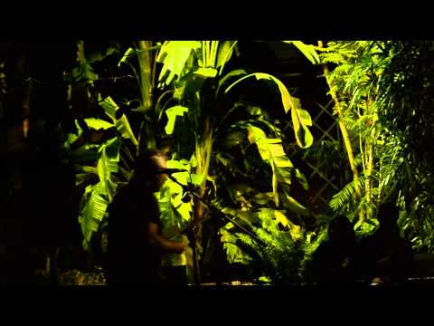 Fil-Per-Randa Botànic 2013