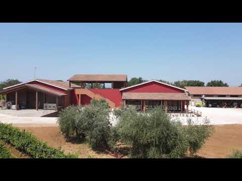 Tenuta di Vaira, nel cuore della doc Bolgheri.