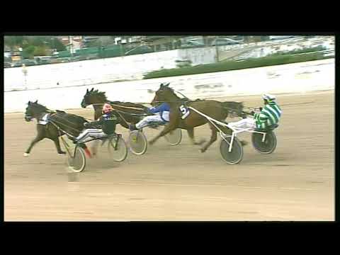 Trotto 31/01/2020 - 4ª corsa