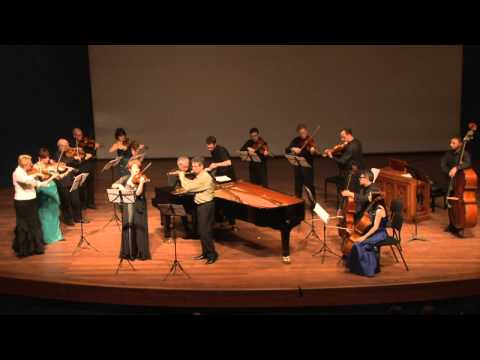 Bach  Brandenburg concerto no 5  1st Movement