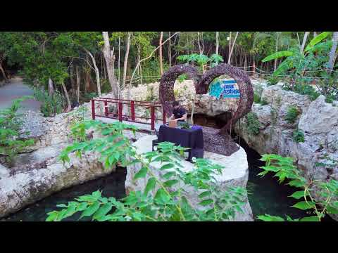 COYU Techno Set | Deep Jungle | Tulum DJ Academy