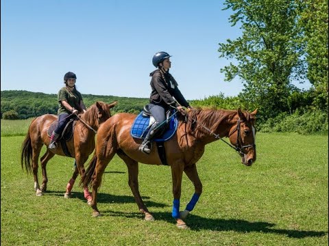 Stredná odborná škola hotelových služieb a dopravy Lučenec