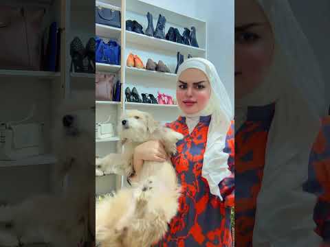 ١٦ تشرين الأول، ٢٠٢٦