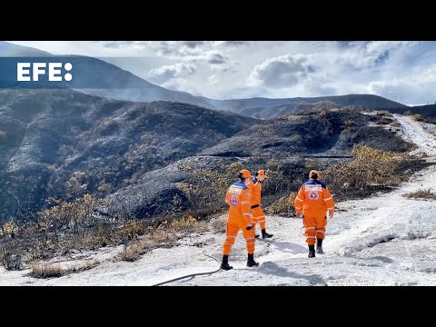 Incendio arrasa 3.000 hectáreas de bosque y cultivos en el norte de Colombia