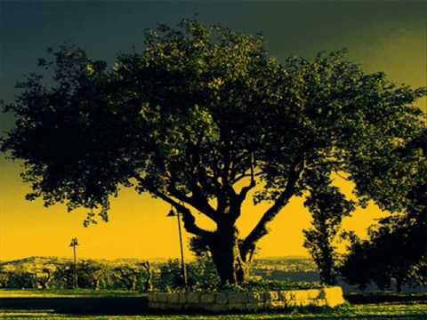 Randy Boyer & Eric Tadla - Adens Dream (Rafael Frost Remix)