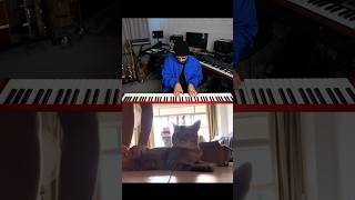 When a cat finishes the lyrics 🤣