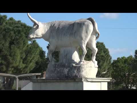 Reste à la maison les 26 et 27 - 03 - 2020