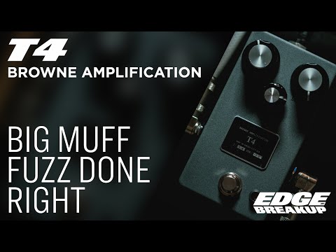 Browne Amplification T4 Fuzz image 3