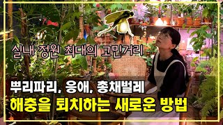 식물을 병들게 하는 해충을 효과적으로 퇴치하는 새로운 방법