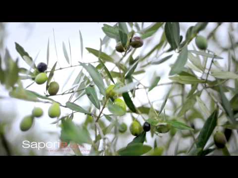 Saporie.com - Puntata 6 Aprile 2014