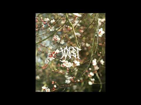 [FREE] midwest emo, acoustic guitar, guardin type beat | "strike"